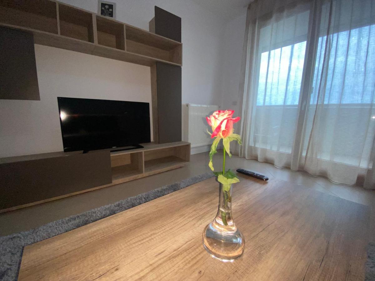 Central Apartment Timişoara Exterior foto
