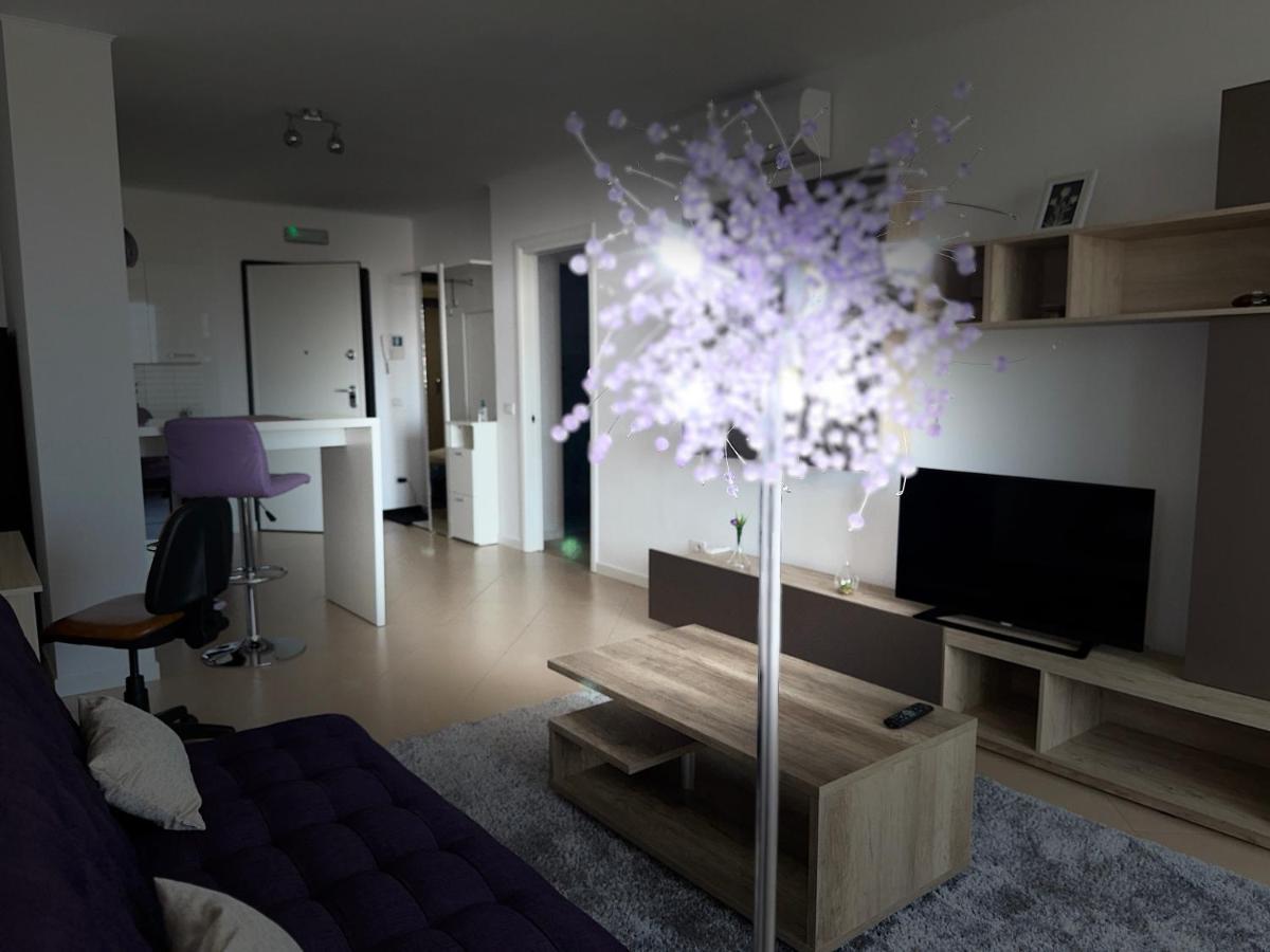 Central Apartment Timişoara Exterior foto